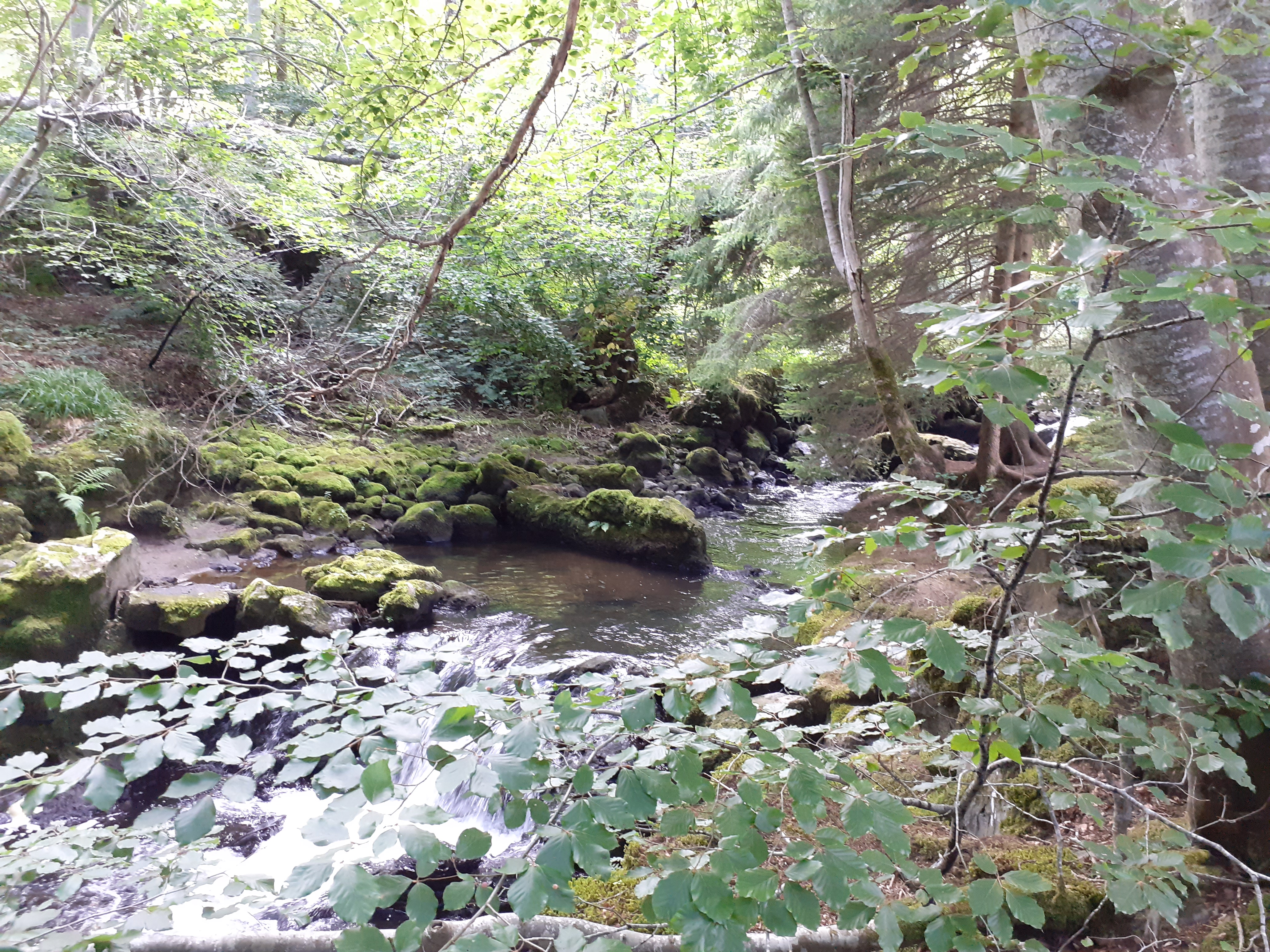 Photo n° 2 de l'avis de Patrick. fait le 13/08/2021 à 14:24