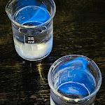 Photo n°3 de l'avis de Klaus.. fait le 15/09/2022 à 10:52 sur le  Achtern Diek à Prerow