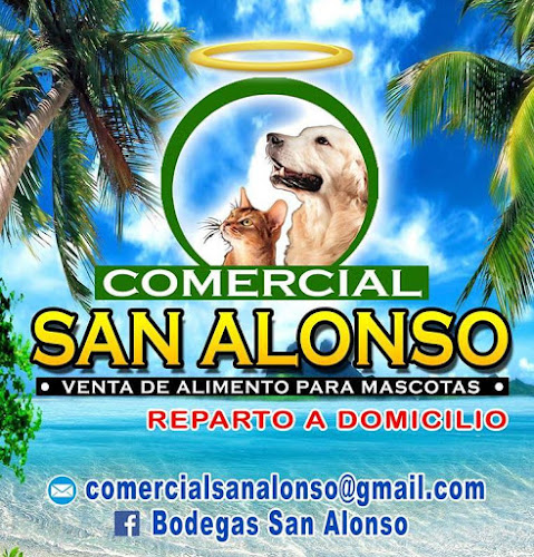 Comercial San Alonso - Tienda