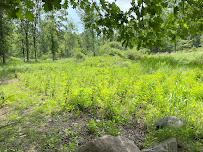 Conservation Control - Photo 2 - Car repair in , Flint