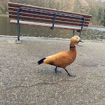 Photo n°1 de l'avis de Miriam.u fait le 19/01/2023 à 20:50 sur le  Victor's Residenz-Hotel Saarbrücken à Saarbrücken