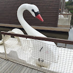 Photo n°6 de l'avis de Ines.i fait le 27/10/2020 à 11:00 sur le  Dein Lieblingsplatz in Parey à Elbe-Parey