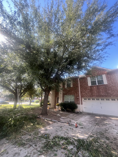Ramirez Tree Service 512