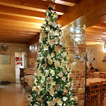 Photo n°1 de l'avis de paolo.u fait le 23/05/2019 à 17:27 sur le  Pizzeria Ca' Bembo à San Zenone degli Ezzelini