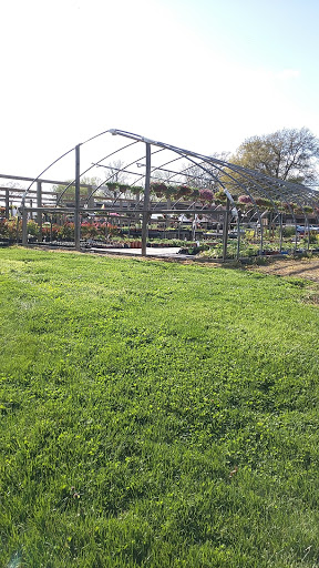 Florist «Parkview Gardens Florist & Greenhouse», reviews and photos, 1925 W Randolph St, St Charles, MO 63301, USA