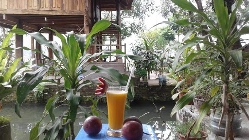 Top 20 cửa hàng ainosofia Huyện Mai Châu Hòa Bình 2022