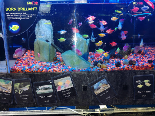 Tropical Fish Store «Aquatic Design», reviews and photos, 1629 N Central Expy, Plano, TX 75075, USA