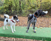Kingsport Dog Park [MEMBERS ONLY] - Photo 7 - Car repair in Kingsport, TN, Kingsport