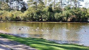 Greenfield Park - photo 36