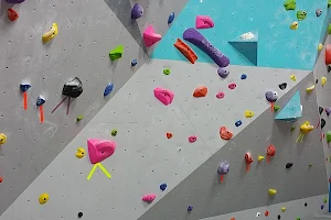 The Rock Garden Climbing Center image