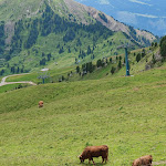 Photo n°3 de l'avis de Satu.j fait le 20/09/2022 à 17:53 sur le  Baita Sofie Hütte à Santa Cristina Gherdëina