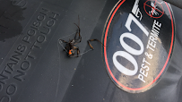 007 Pest & Termite - Car repair in Nassau Bay, TX, Pasadena - Rated 5.0/5