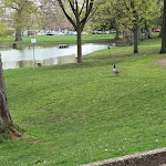 Photo n°9 de l'avis de Effzeh.a fait le 11/04/2023 à 22:45 sur le  Coellner Hof Hotel- und Gaststätten GmbH à Cologne