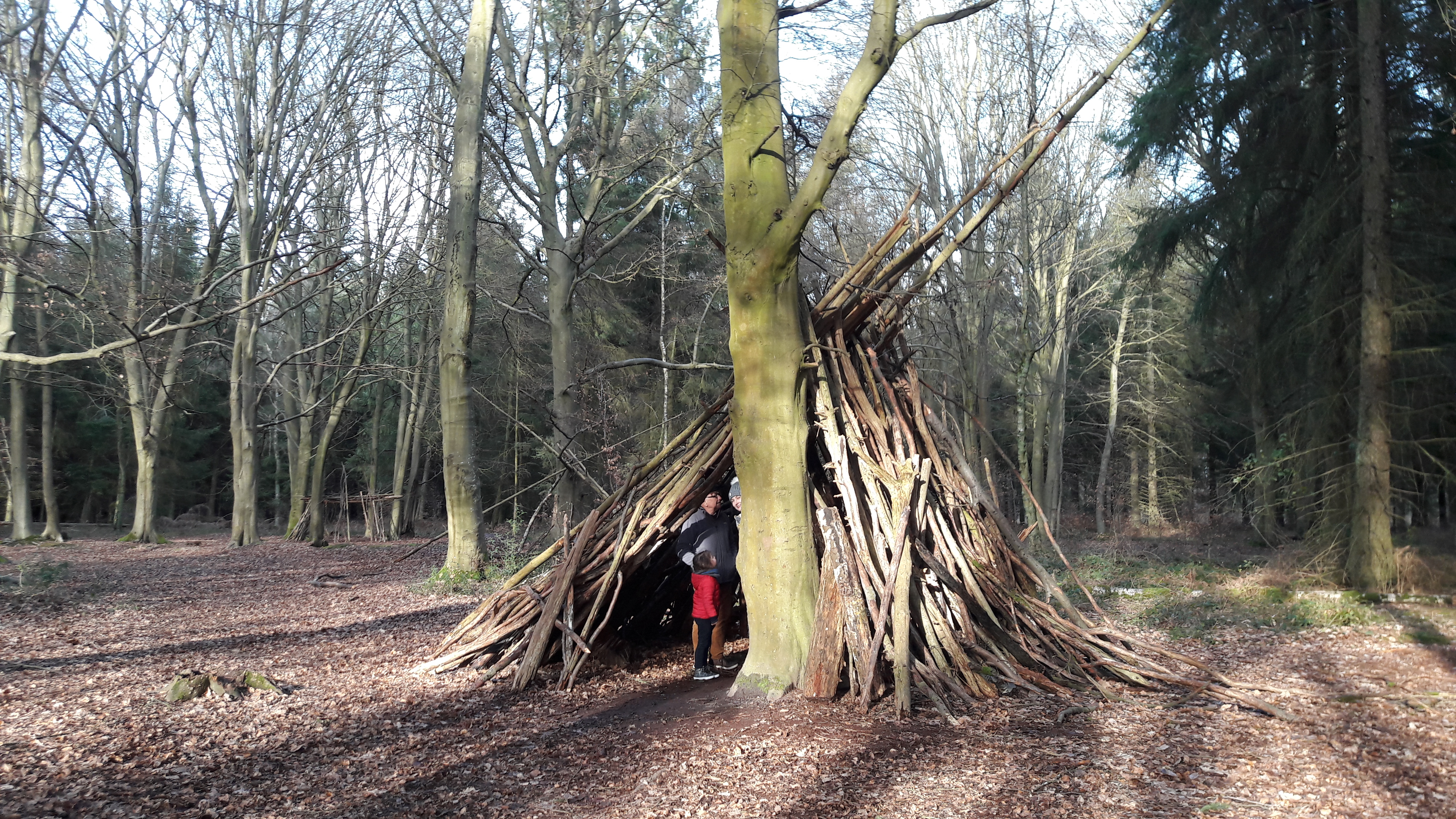 Photo n° 1 de l'avis de Cathy.A fait le 13/02/2019 à 08:02