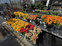 Walmart Garden Center - Photo 3 - Car repair in Naples, FL, Bonita Springs