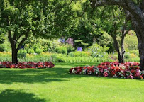 Guico Enterprise Affordable Cleaning Service - Photo 6 - Car repair in , Honolulu