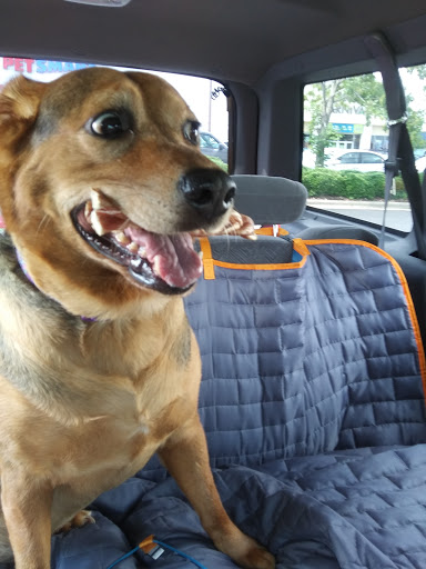 Pet Supply Store «PetSmart», reviews and photos, 1462 Jeffreys Rd, Rocky Mount, NC 27804, USA