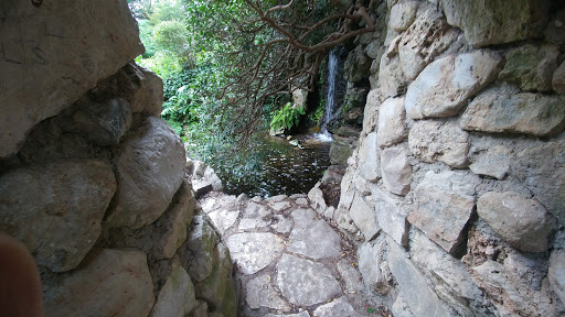 Botanical Garden «Zilker Botanical Garden», reviews and photos, 2220 Barton Springs Rd, Austin, TX 78746, USA