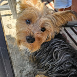 Photo n°3 de l'avis de Jörg.i fait le 06/09/2023 à 19:36 sur le  Strandbad Hooksiel à Wangerland