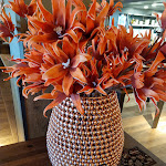 Photo n°1 de l'avis de Morphchain. fait le 03/03/2022 à 19:58 sur le  The ASH Köln MesseCity à Cologne