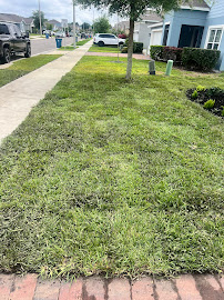 Enchanted Landscaping - Photo 3 - Car repair in Davenport, FL, Kissimmee