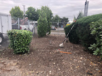 Mago Landscaping Services - Photo 5 - Car repair in Lakewood, WA, Tacoma