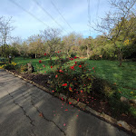 Photo n°15 de l'avis de Manfred. fait le 13/11/2022 à 23:10 sur le  Landgasthof Gänsberg à Wiesloch