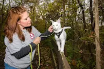 Furball Fitness Pet Daycare Resort & Spa - Car repair in Reynoldsburg, OH, Columbus - Rated 4.9/5