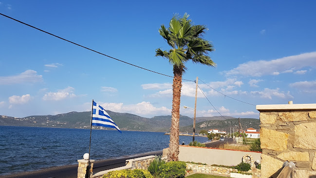 Comentarii opinii despre Gera Bay Studios And Apartments