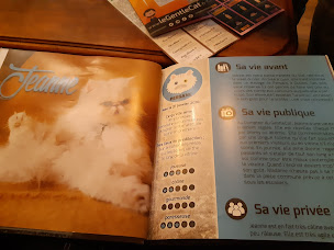 Photo n°20 de Le GentleCat-bar à chats-brunch-restaurant-salon de thé (interdit moins de 12 ans) à Lyon ()