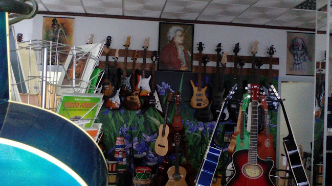 Opinii despre Mozart în Setúbal - Loja de instrumentos musicais