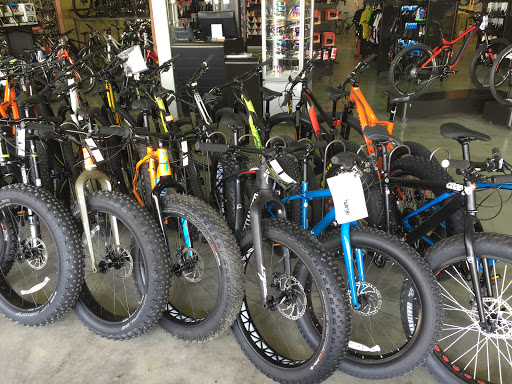 Shoe Store «PRO BIKE+RUN Robinson», reviews and photos, 3100 Robinson Ln, Pittsburgh, PA 15205, USA