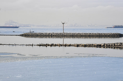 Park «Bush Terminal Piers Park», reviews and photos, Marginal St. & 43rd Street, Brooklyn, NY 11232, USA