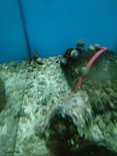 Pet Supply Store «Petco Animal Supplies», reviews and photos, 600 NE Vivion Rd, Kansas City, MO 64118, USA