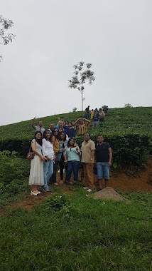 Phu Ben Tea Company