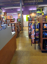 Kriser's Natural Pet - Photo 2 - Car repair in Chicago, IL, Chicago