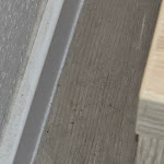 Photo n°3 de l'avis de Endy.. fait le 01/01/2024 à 12:50 sur le  Hotelanlage Minser Seewiefken à Wangerland