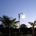 Photo n°5 de l'avis de Flavia.a fait le 03/09/2021 à 05:46 sur le  Ristorante Pizzeria Oasi Campagnola à Mareno di Piave