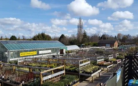 Moores Nurseries and Garden Centre Ltd image