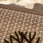 Photo n°5 de l'avis de Valentina.i fait le 09/07/2022 à 18:47 sur le  Solero à Porto Potenza Picena