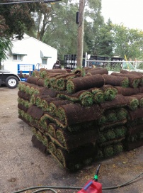 Triple J's Landscaping - Photo 6 - Car repair in Royal Oak, MI, Sterling Heights