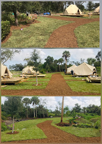 Always Green Lawn Care Inc. - Photo 7 - Car repair in Sebastian, FL, Palm Bay