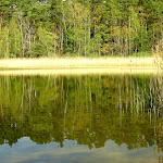 Photo n°4 de l'avis de Carola.. fait le 26/04/2022 à 19:06 sur le  Restaurant & Pension „Cafe am See“ à Kremmen