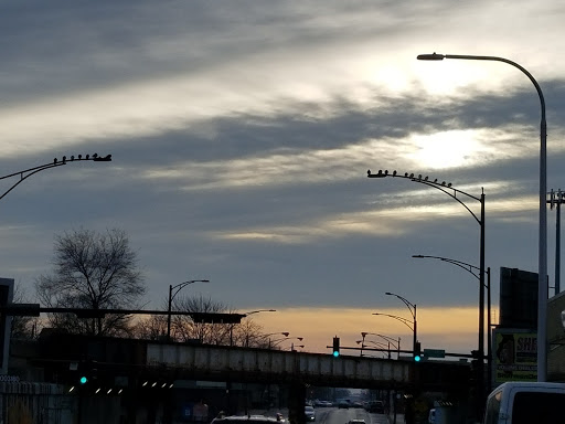Car Wash «Forest Glen Hand Car Wash», reviews and photos, 5322 N Elston Ave, Chicago, IL 60630, USA