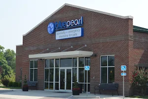 BluePearl Pet Hospital image
