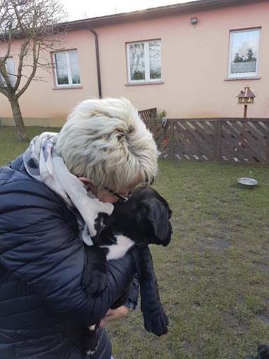 Kleintierpraxis Marion Ulbrich unter Beelitz, Brandenburg