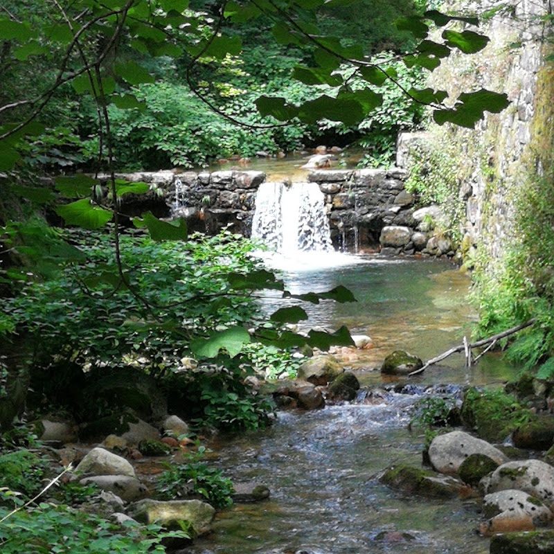 3 image