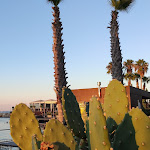 Photo n°3 de l'avis de Andrea.. fait le 30/07/2020 à 12:06 sur le  Area M à Syracuse