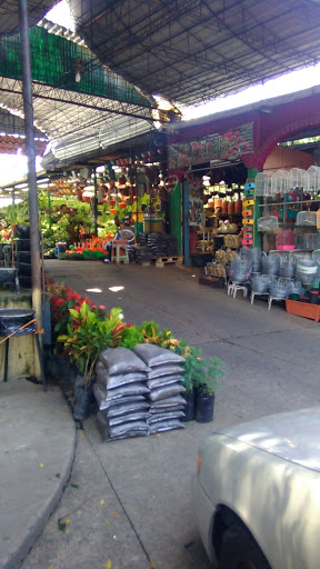 Mercado San Miguelito