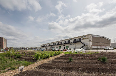 studio ADAMS, (voorheen Bekkering Adams Architecten B.V.)